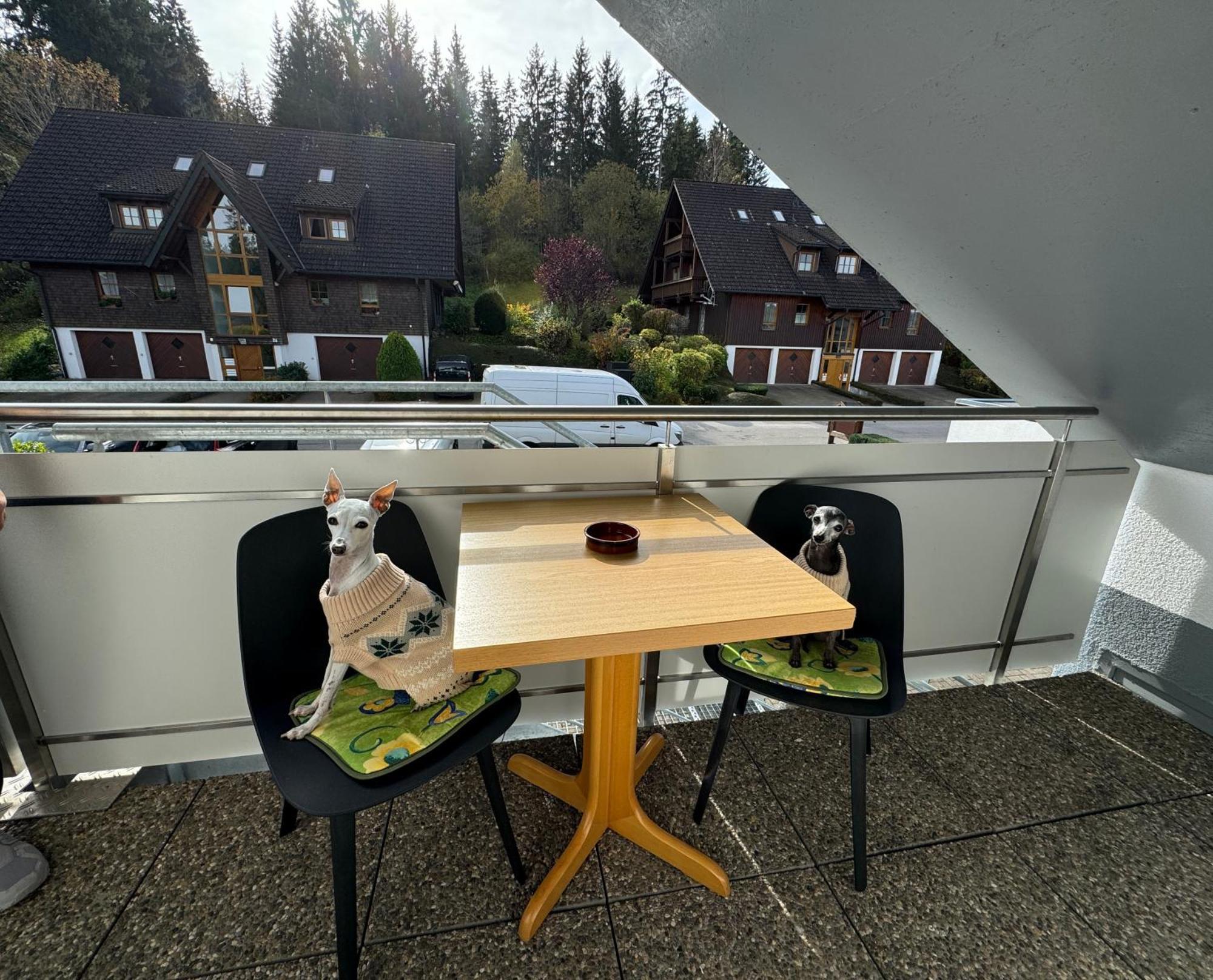 Ferienhaus Frei 4 Compact Hinterzarten Luaran gambar