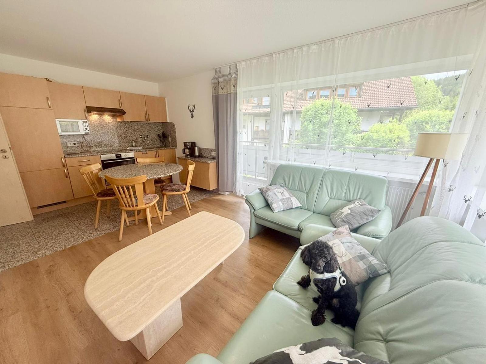 Ferienhaus Frei 4 Compact Hinterzarten Luaran gambar